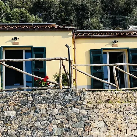 Eufonia Del Mare